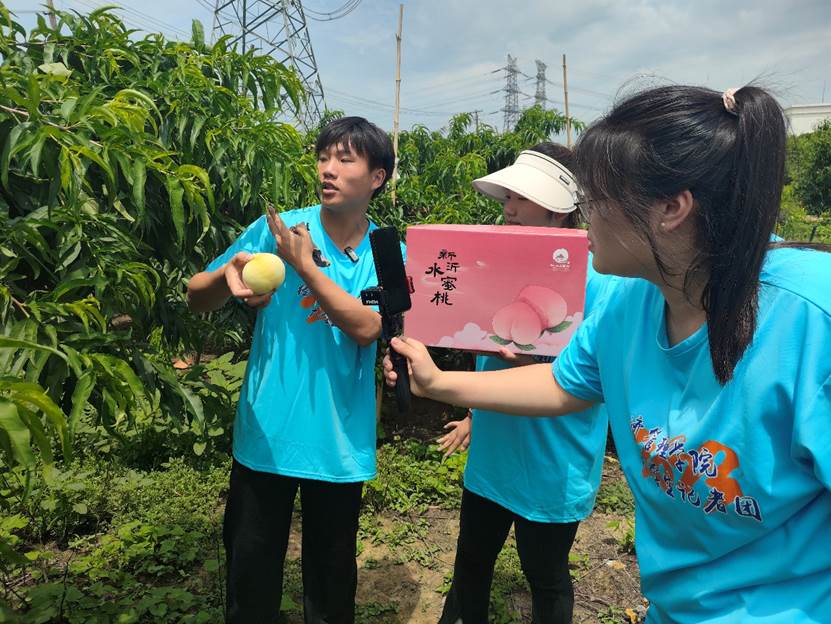 男孩站在草地上打电话
AI 生成的内容可能不正确。